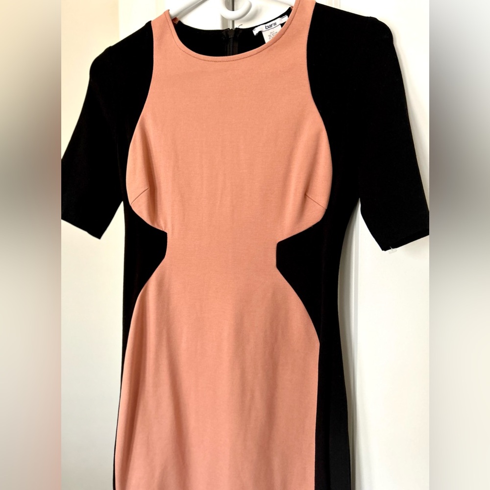 Bar III Bodycon Dress (Brand New!)